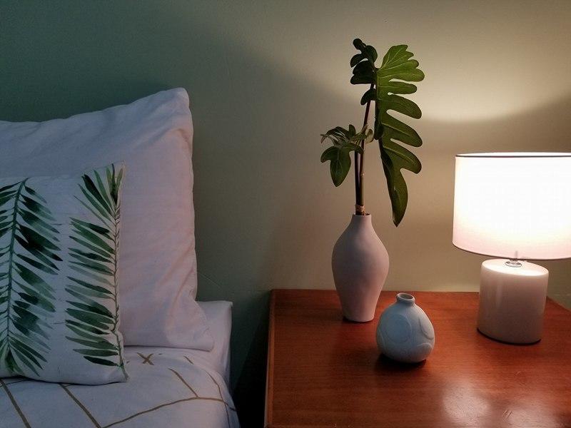 Backpackers By The Bay Hostel Еърли Бийч Екстериор снимка